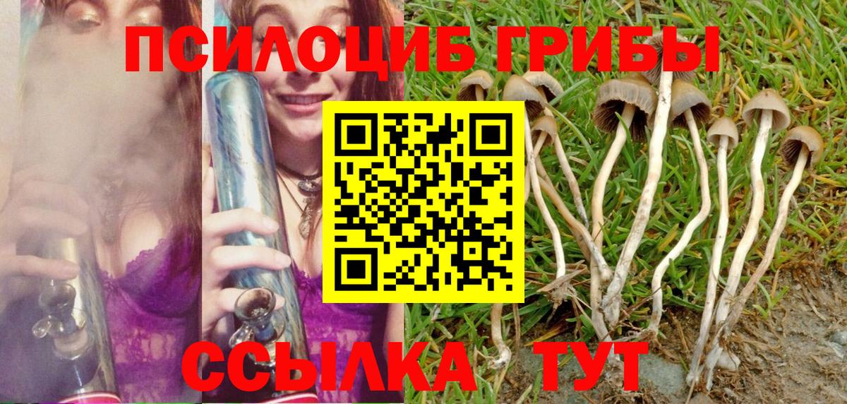 Кострома  Галлюциногенные грибы Magic Shrooms  Вход с VPN  Галлюциногенные грибы мицелий 