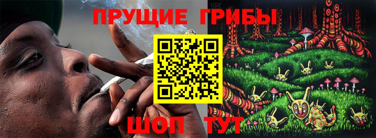 Псилоцибиновые грибы мухоморы Кострома